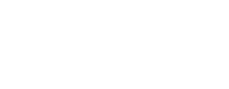 STPI Logo
